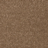 Knightlife Saxony Carpet