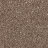 Knightlife Saxony Carpet