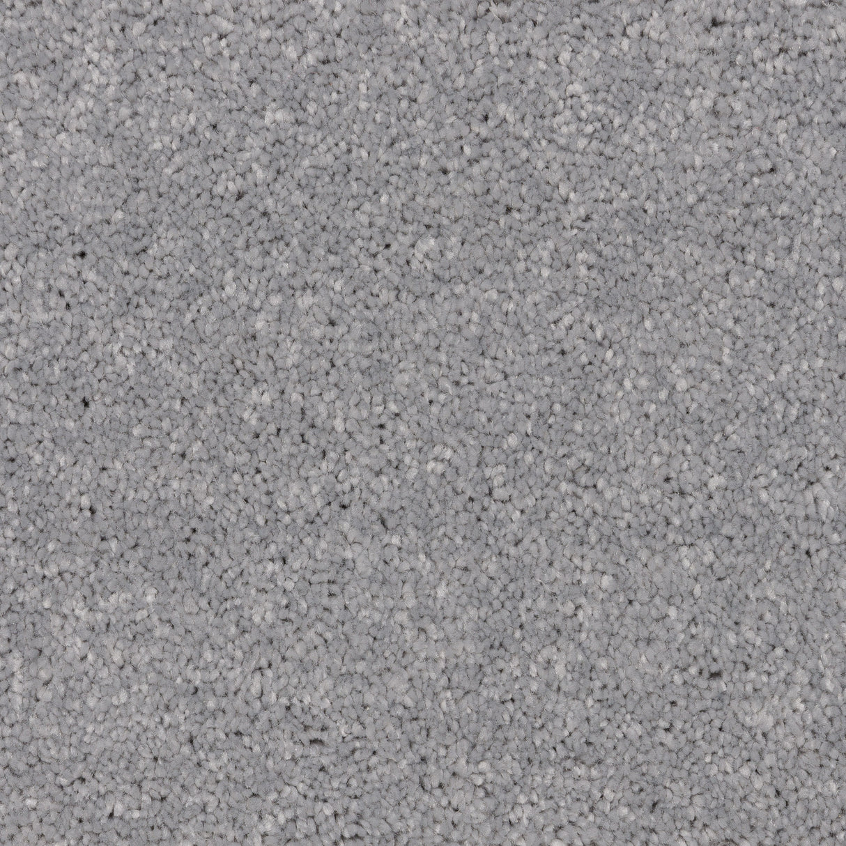 Knightlife Saxony Carpet