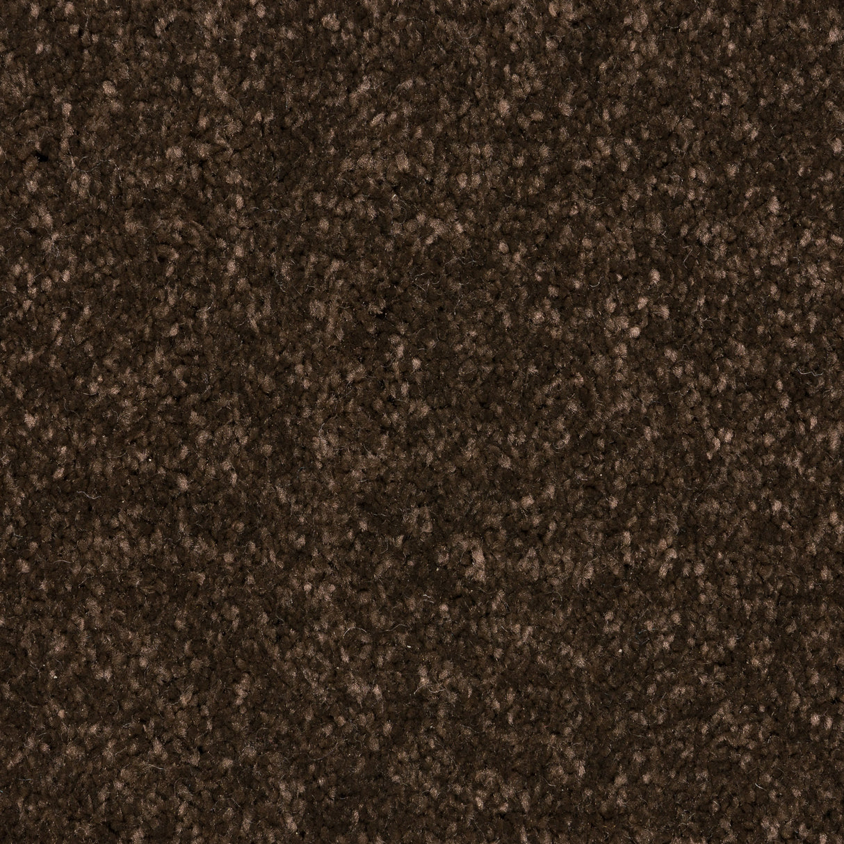 Knightlife Saxony Carpet