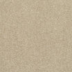 StainFree Caress Carpet