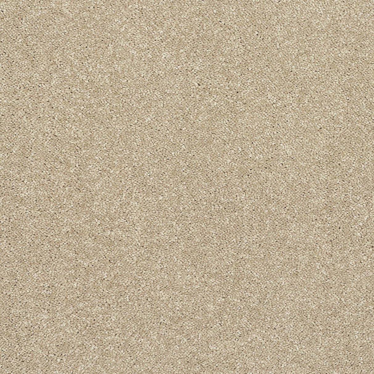 StainFree Caress Carpet