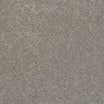 StainFree Caress Carpet