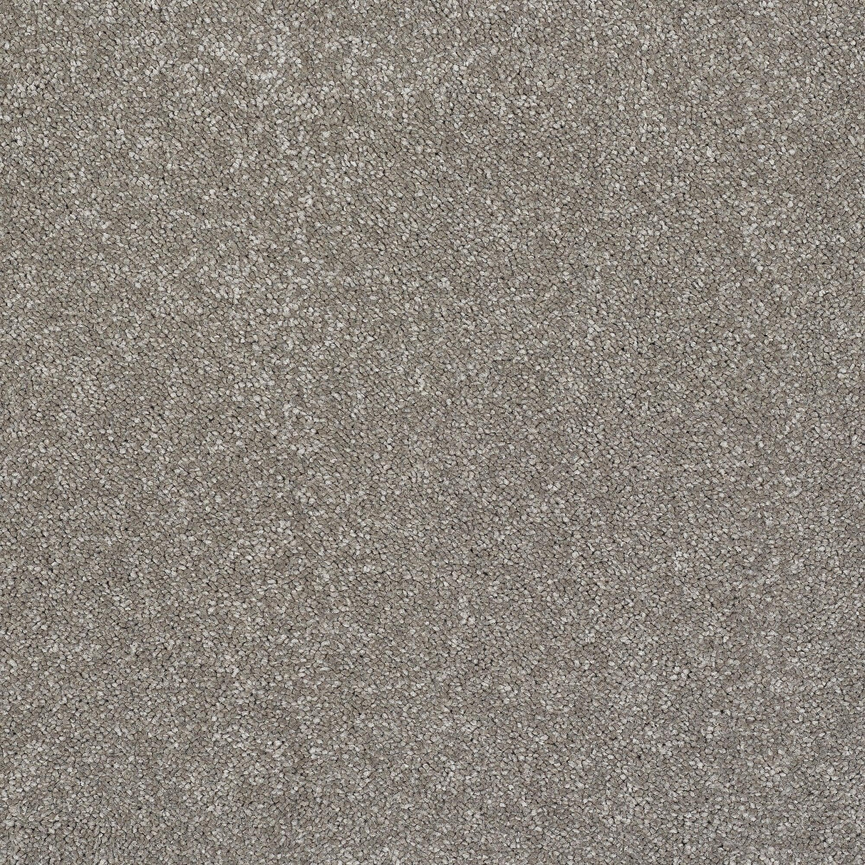 StainFree Caress Carpet