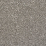 StainFree Caress Carpet