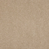 Euphoria Saxony- Mink Carpet – by Abingdon Flooring – 1