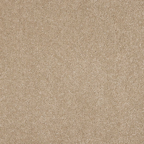 Euphoria Saxony- Mink Carpet – by Abingdon Flooring – 1