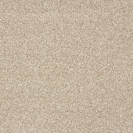 Abingdon Stainfree Indulgence - Nutmeg Carpet – by Abingdon Flooring – 1
