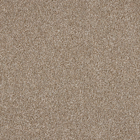 Euphoria Saxony - Nutmeg Carpet – by Abingdon Flooring – 1