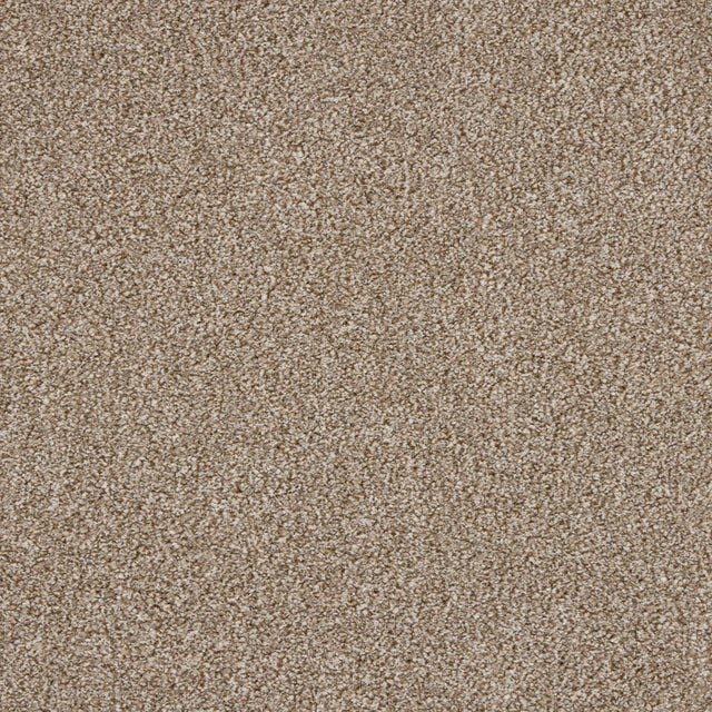Euphoria Saxony - Nutmeg Carpet – by Abingdon Flooring – 1