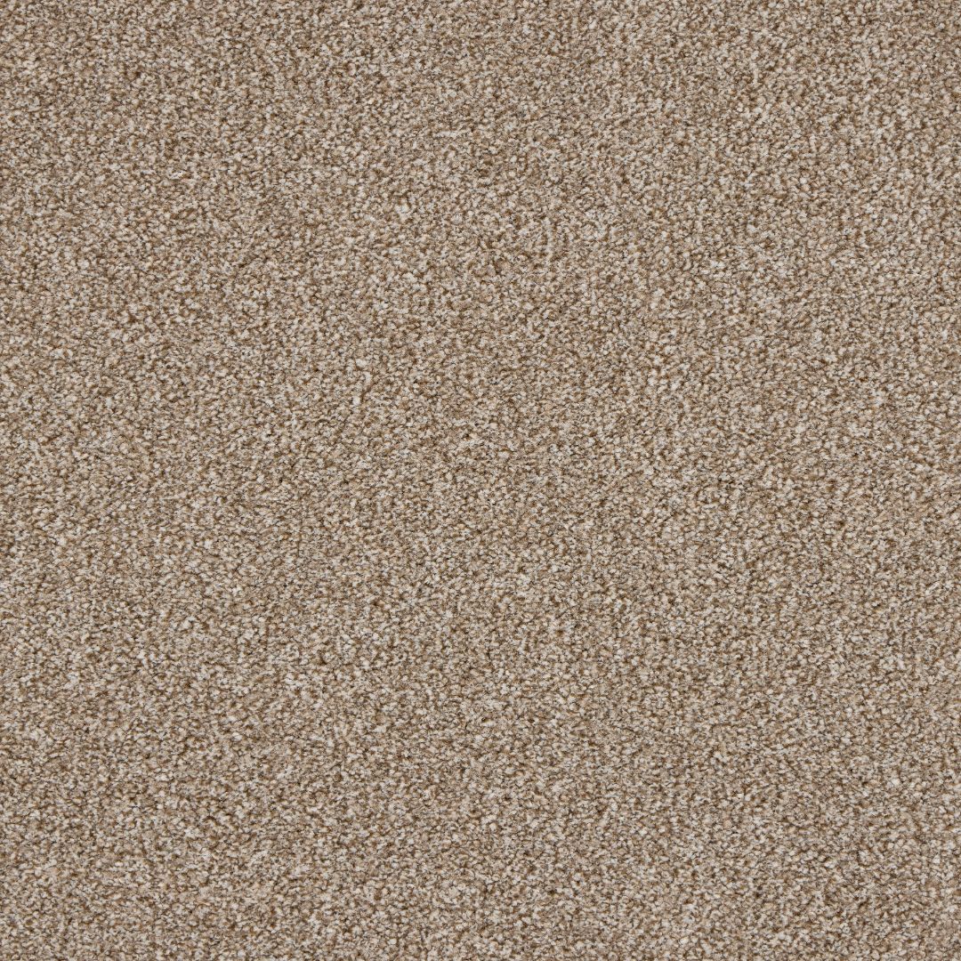 Euphoria Saxony Carpet