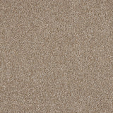 Euphoria Saxony Carpet