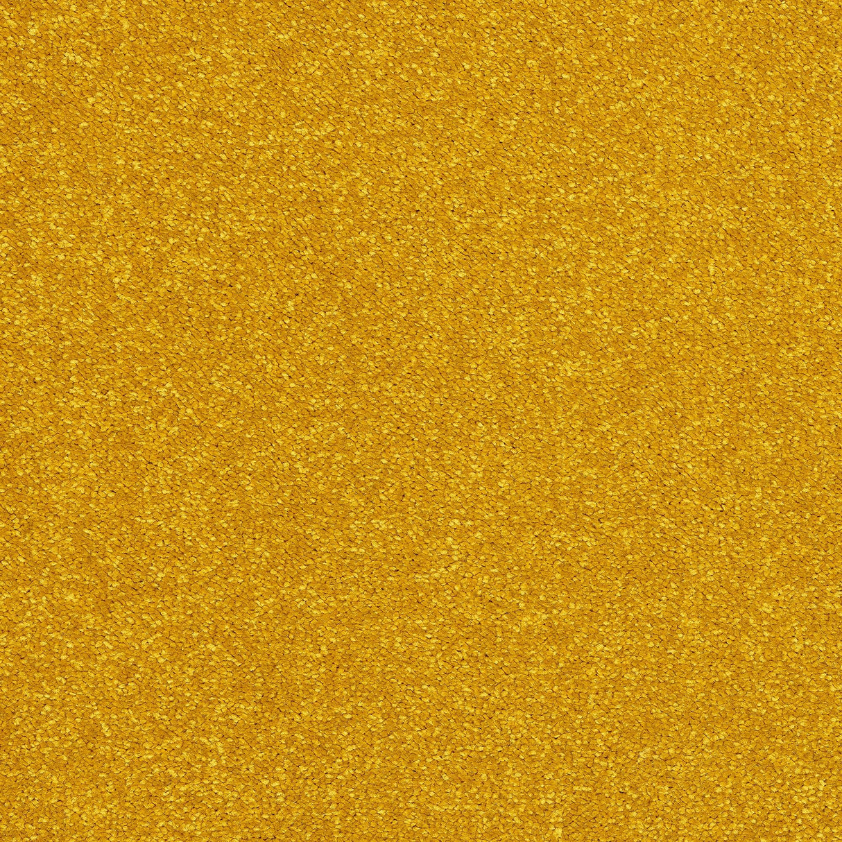 Abingdon Stainfree Caress - Old Gold Carpet