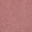 StainFree Caress Carpet