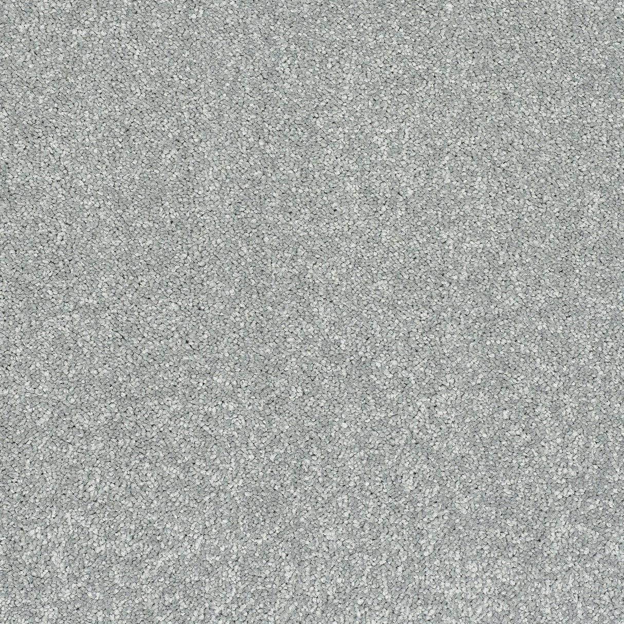 StainFree Caress Carpet