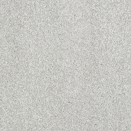 Abingdon Stainfree Indulgence - Pearlescent Carpet – by Abingdon Flooring – 1