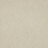 Euphoria Saxony- Pearlescent Carpet – by Abingdon Flooring – 1
