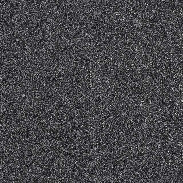 Abingdon Stainfree Indulgence - Rocky Mountain Carpet – by Abingdon Flooring – 1