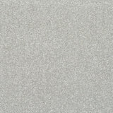 StainFree Caress Carpet
