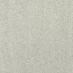 StainFree Caress Carpet