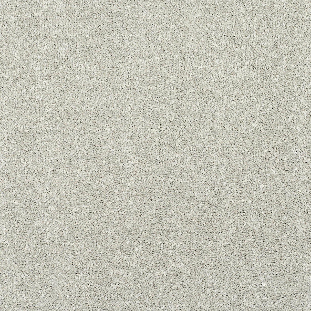 StainFree Caress Carpet