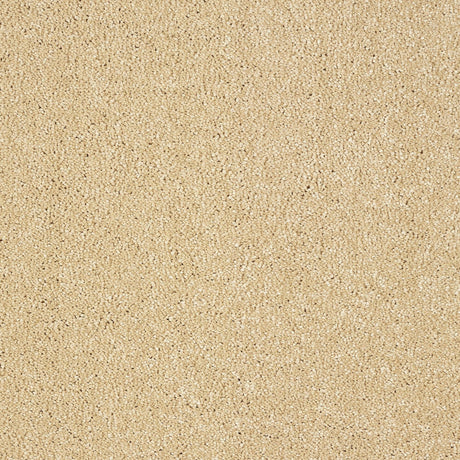 Abingdon Stainfree Indulgence - Sea shell Carpet – by Abingdon Flooring – 1
