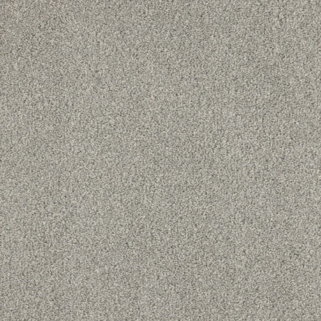 Euphoria Saxony- Seal Carpet – by Abingdon Flooring – 1