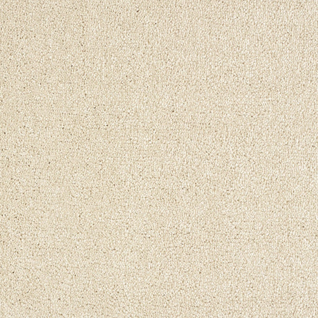 Abingdon Stainfree Indulgence - Soft Honey Carpet – by Abingdon Flooring – 1