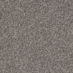 Abingdon Stainfree Rapport felt-backed twist carpet shown in Storm