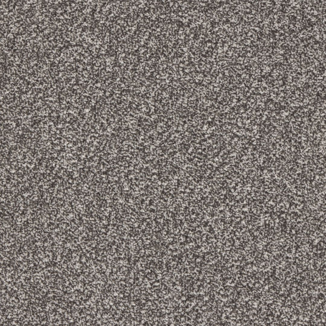 Abingdon Stainfree Rapport felt-backed twist carpet shown in Storm