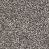 StainFree Rapport Twist Carpet