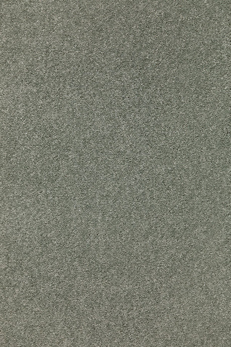 Sublime Saxony - Sage Tint Carpet – by Balta Flooring – 1