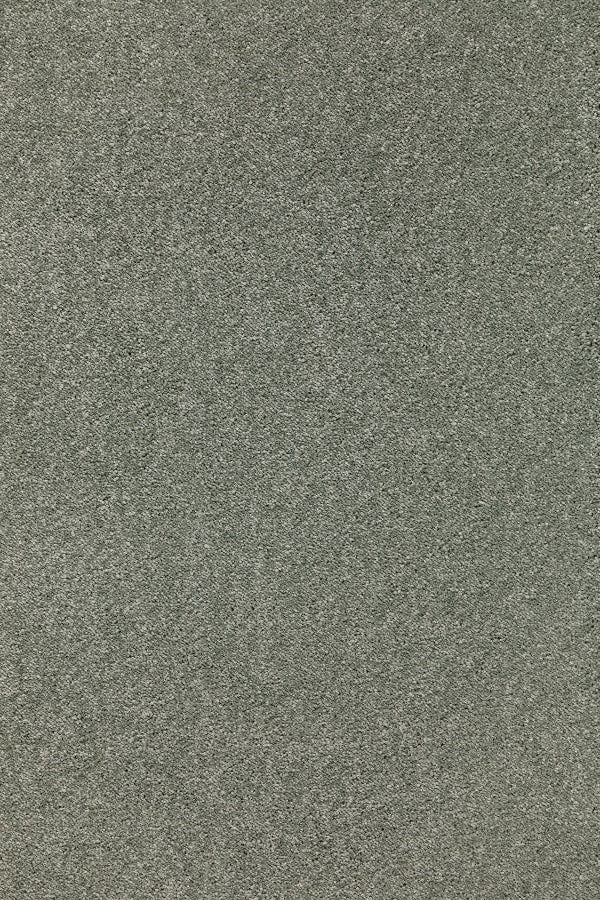 Sublime Saxony - Sage Tint Carpet – by Balta Flooring – 1