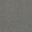 StainFree Caress Carpet