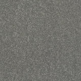 StainFree Caress Carpet