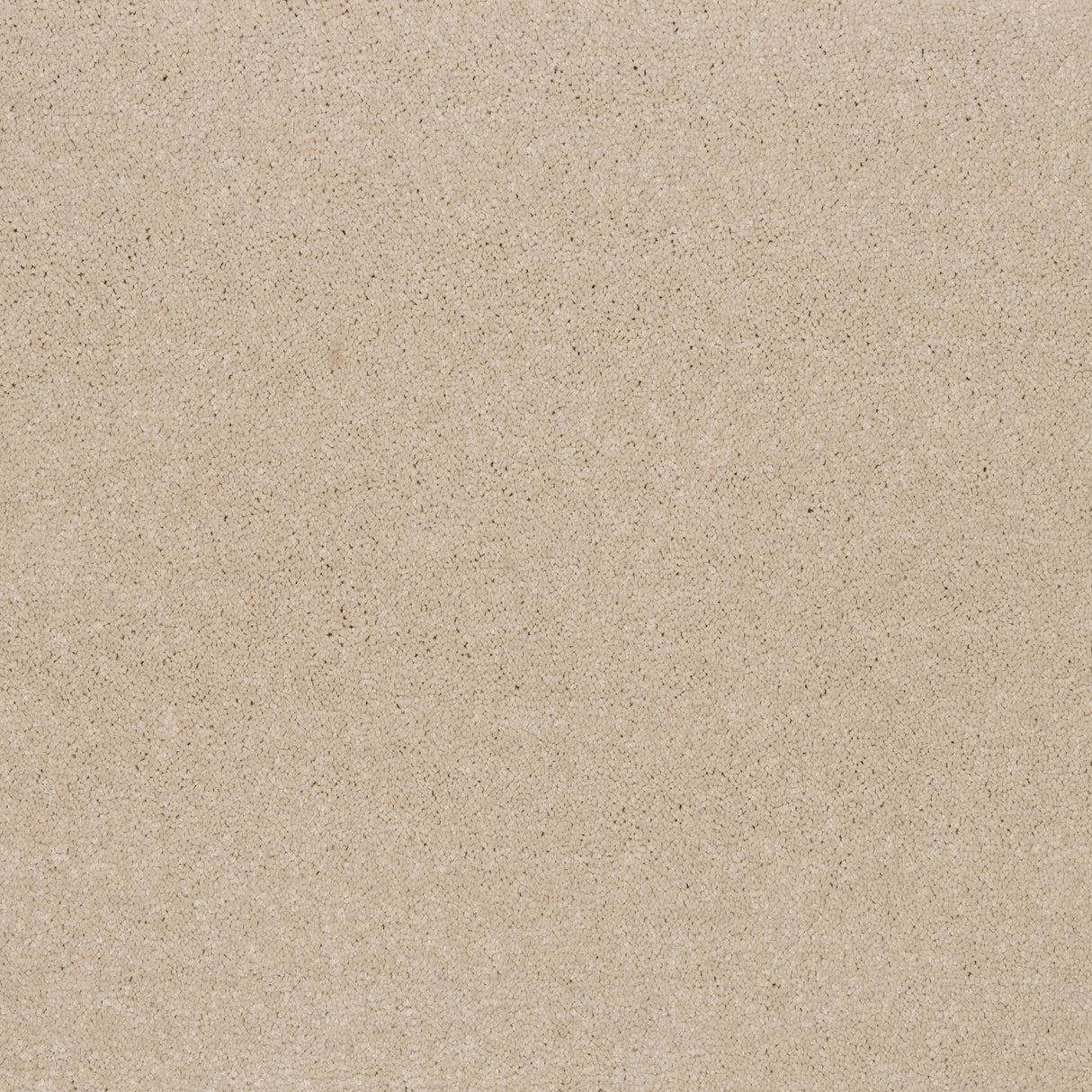 Ibexx Temperament soft short pile twist carpet, Confident Grey colourway
