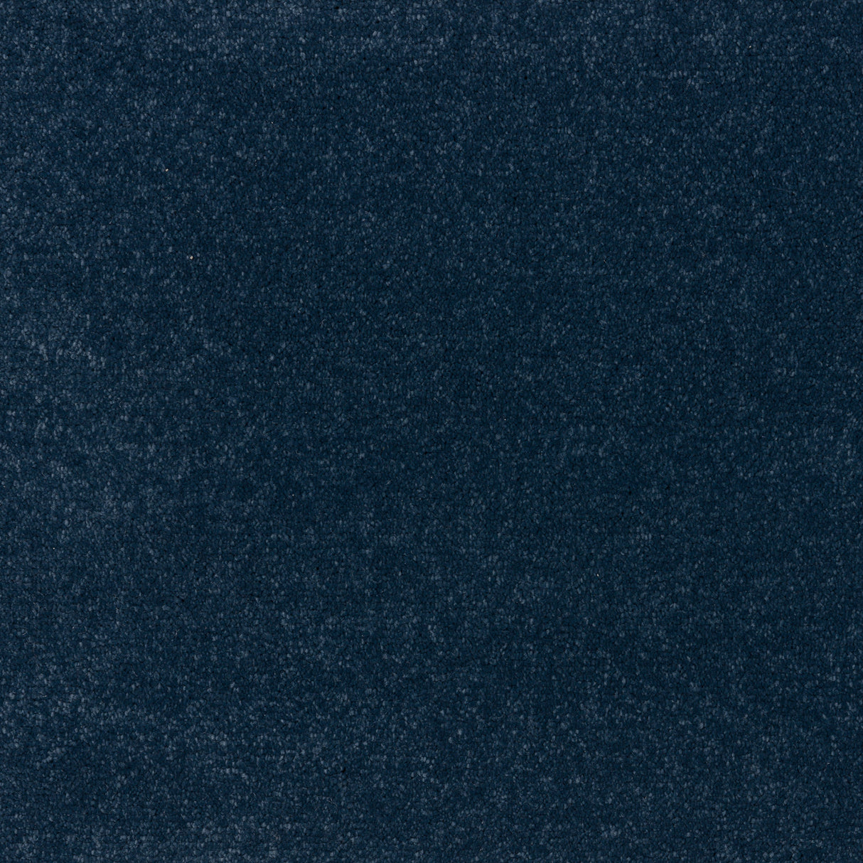 Ibexx Temperament soft short pile twist carpet, Confident Grey shade