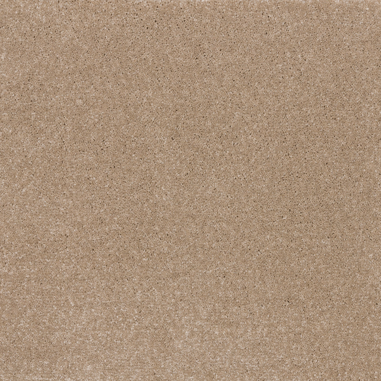 Ibexx Temperament soft short pile twist carpet, easy-clean in Confident Grey