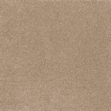 Ibexx Temperament soft short pile twist carpet, easy-clean in Confident Grey