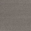 Ibexx Temperament soft short pile twist carpet in Confident Grey