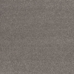 Ibexx Temperament soft short pile twist carpet in Confident Grey