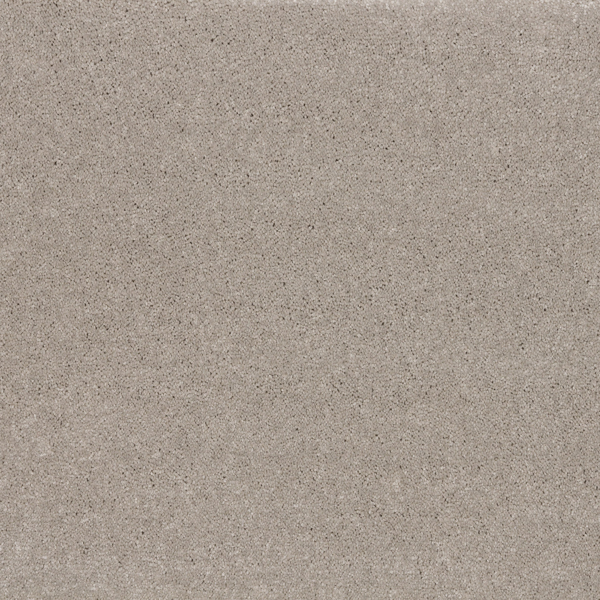 Stylish ibexx Temperament soft short pile twist carpet in Confident Grey