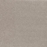 Stylish ibexx Temperament soft short pile twist carpet in Confident Grey