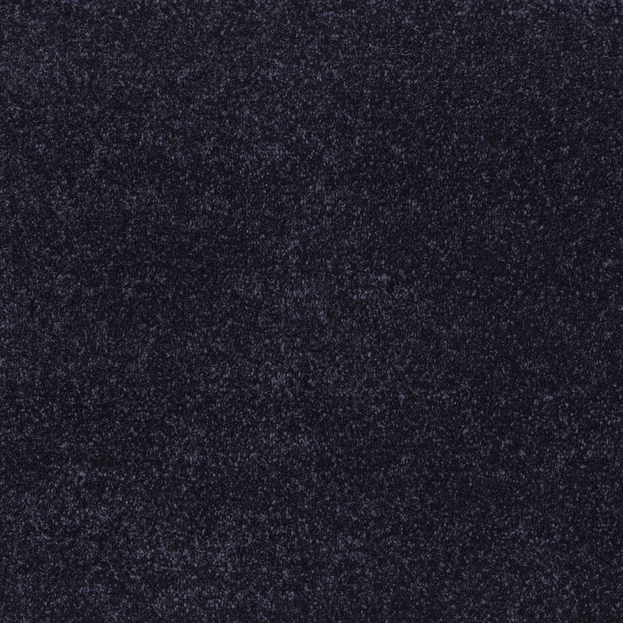 Ibexx Temperament soft short pile twist carpet for living rooms in Confident Grey