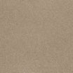 Ibexx Temperament soft short pile twist carpet, soft underfoot in Confident Grey