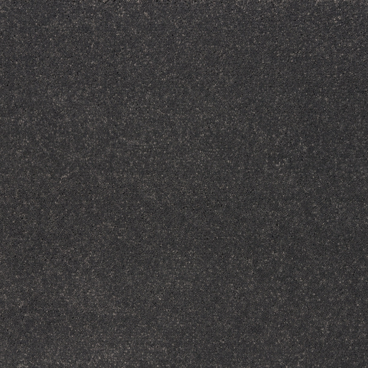 Ibexx Temperament soft short pile twist carpet shown in Confident Grey