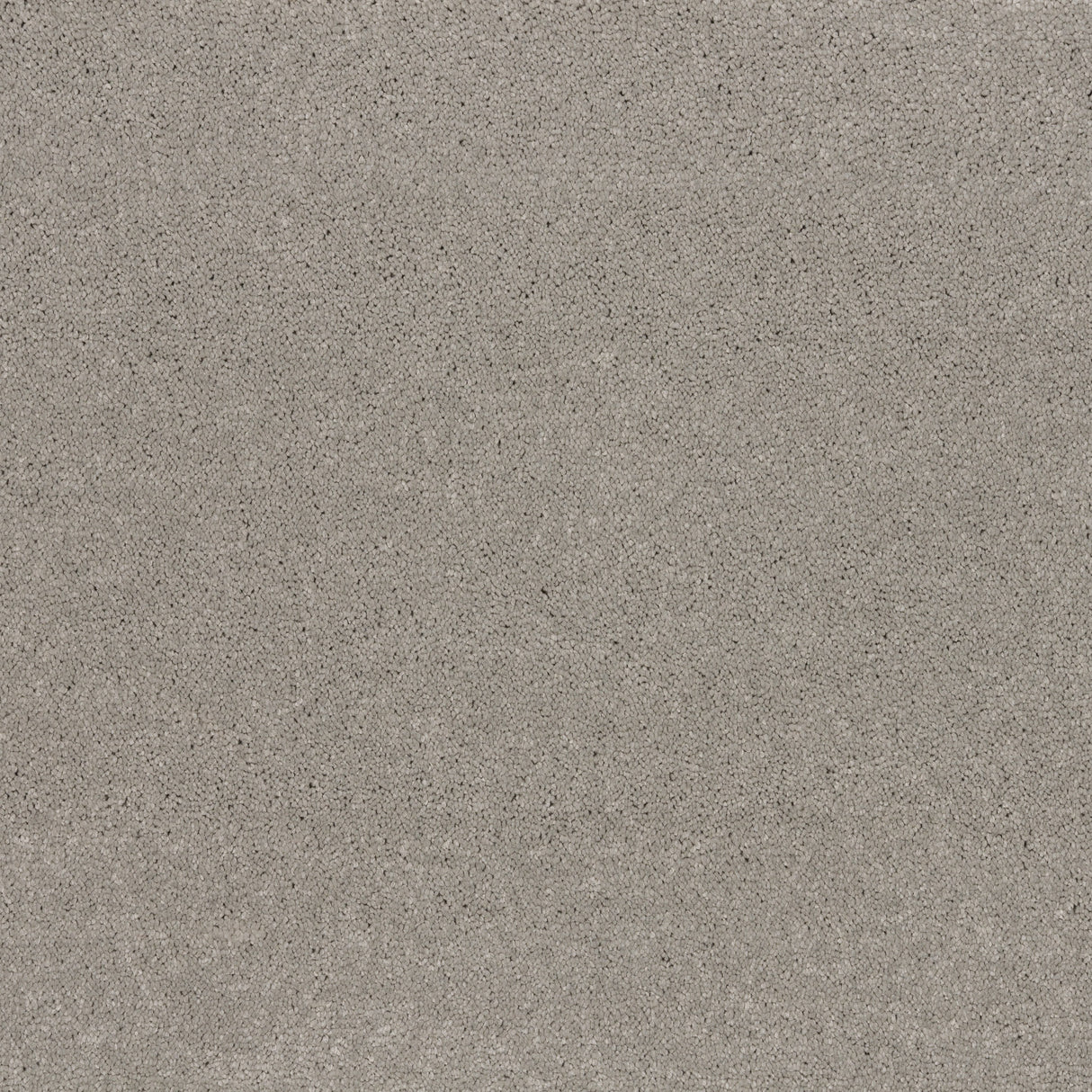 Ibexx Temperament soft short pile twist carpet, colour Confident Grey