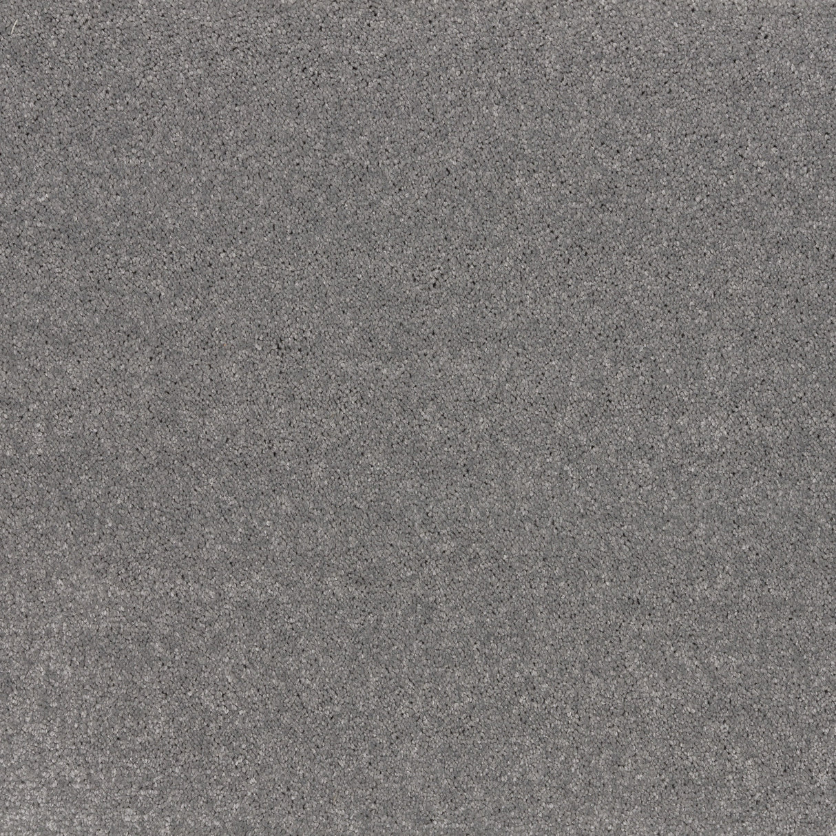Premium ibexx Temperament soft short pile twist carpet in Confident Grey
