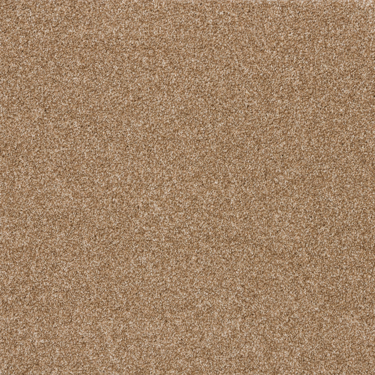 Timeless Elegance Elite Carpet