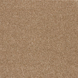 Timeless Elegance Elite Carpet